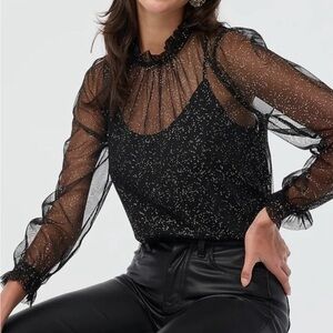 J. Crew Shimmer Tulle Ruffleneck Top Blouse XL